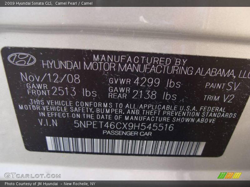 Camel Pearl / Camel 2009 Hyundai Sonata GLS