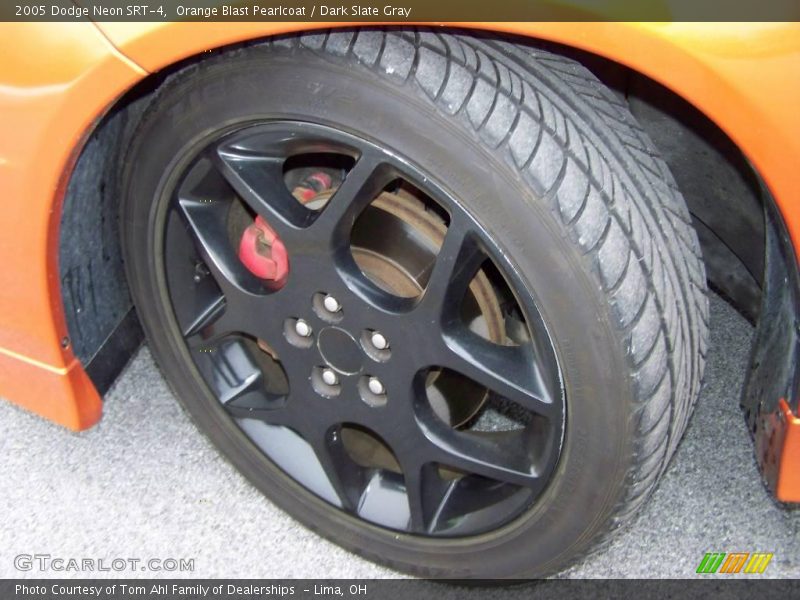 Orange Blast Pearlcoat / Dark Slate Gray 2005 Dodge Neon SRT-4