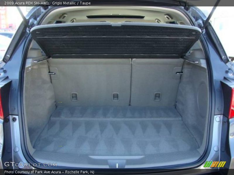 Grigio Metallic / Taupe 2009 Acura RDX SH-AWD