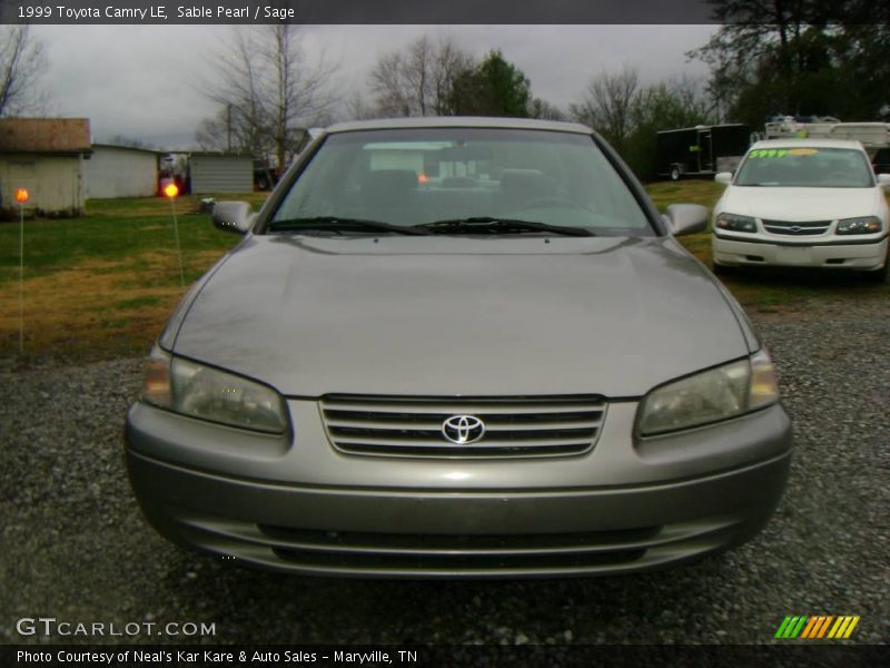 Sable Pearl / Sage 1999 Toyota Camry LE