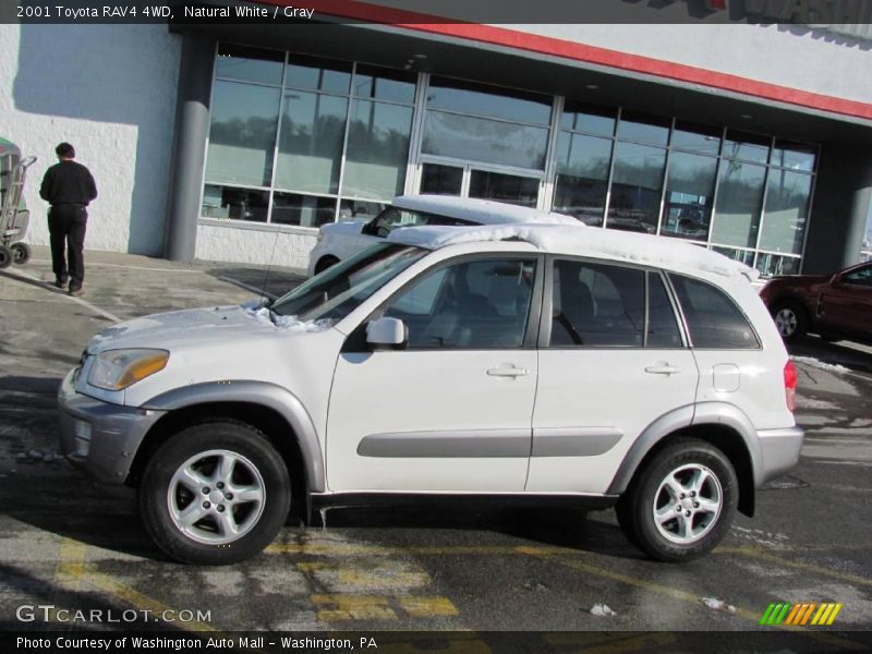 Natural White / Gray 2001 Toyota RAV4 4WD