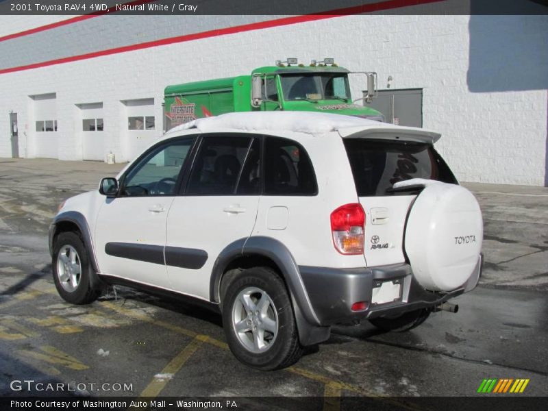 Natural White / Gray 2001 Toyota RAV4 4WD