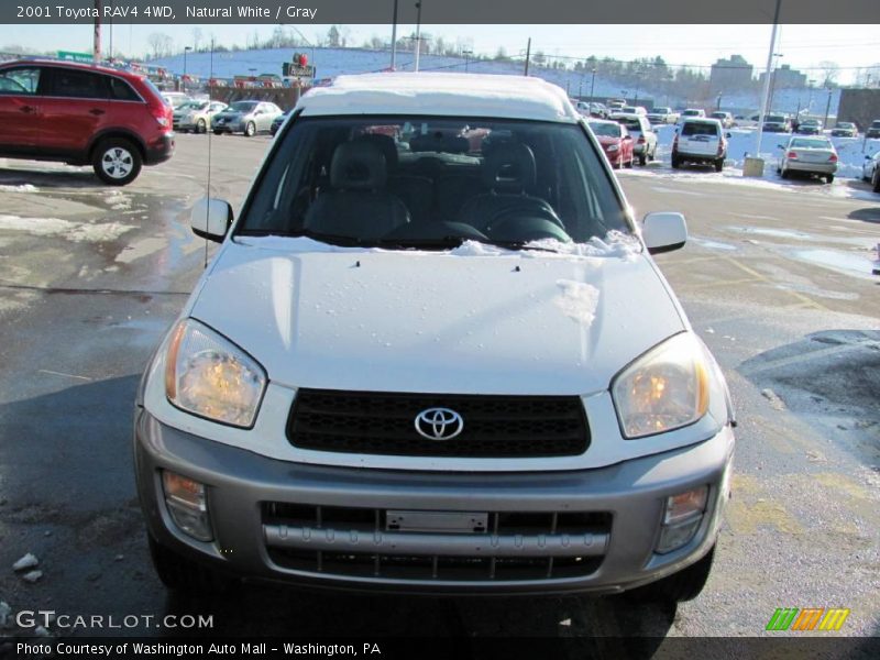 Natural White / Gray 2001 Toyota RAV4 4WD