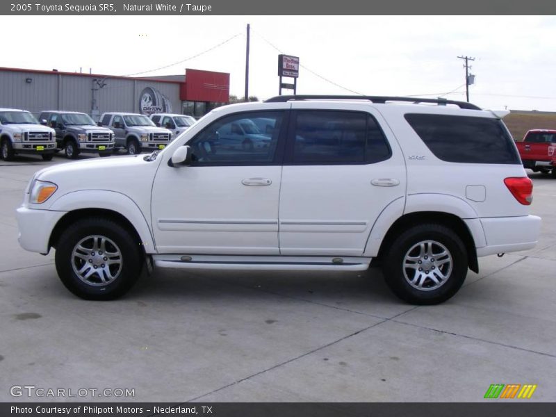 Natural White / Taupe 2005 Toyota Sequoia SR5