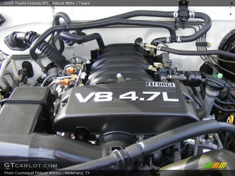 Natural White / Taupe 2005 Toyota Sequoia SR5
