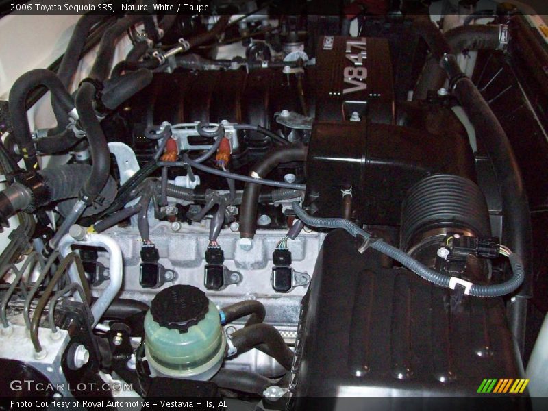 Natural White / Taupe 2006 Toyota Sequoia SR5