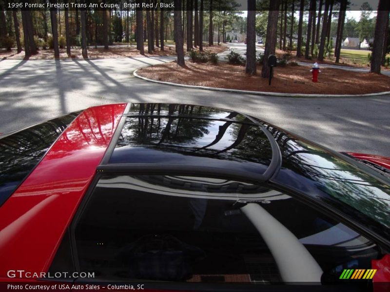 Bright Red / Black 1996 Pontiac Firebird Trans Am Coupe