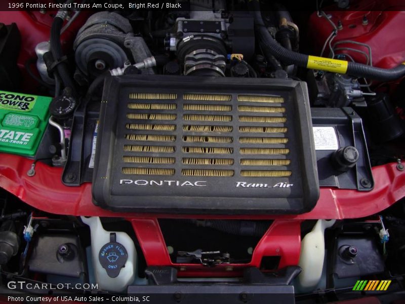 Bright Red / Black 1996 Pontiac Firebird Trans Am Coupe