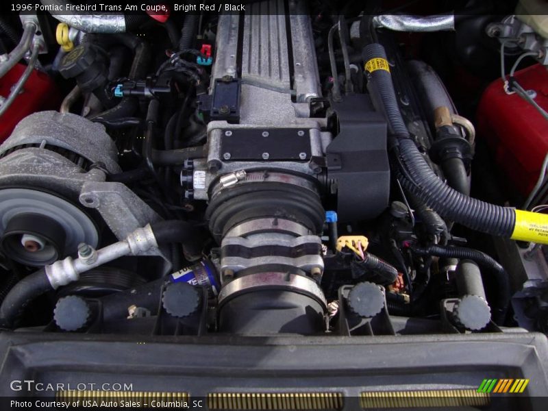 Bright Red / Black 1996 Pontiac Firebird Trans Am Coupe