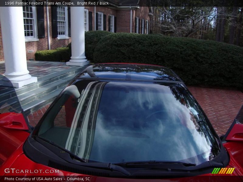 Bright Red / Black 1996 Pontiac Firebird Trans Am Coupe