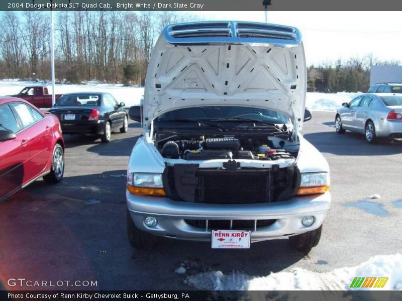 Bright White / Dark Slate Gray 2004 Dodge Dakota SLT Quad Cab