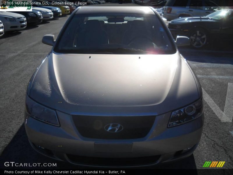 Golden Beige / Beige 2006 Hyundai Sonata GLS
