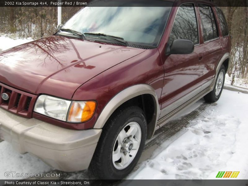 Pepper Red / Brown 2002 Kia Sportage 4x4