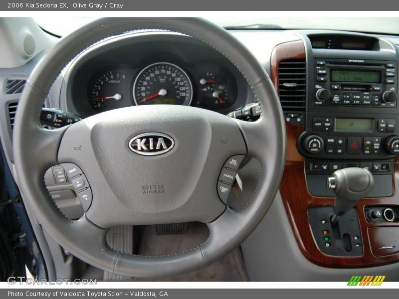Olive Gray / Gray 2006 Kia Sedona EX