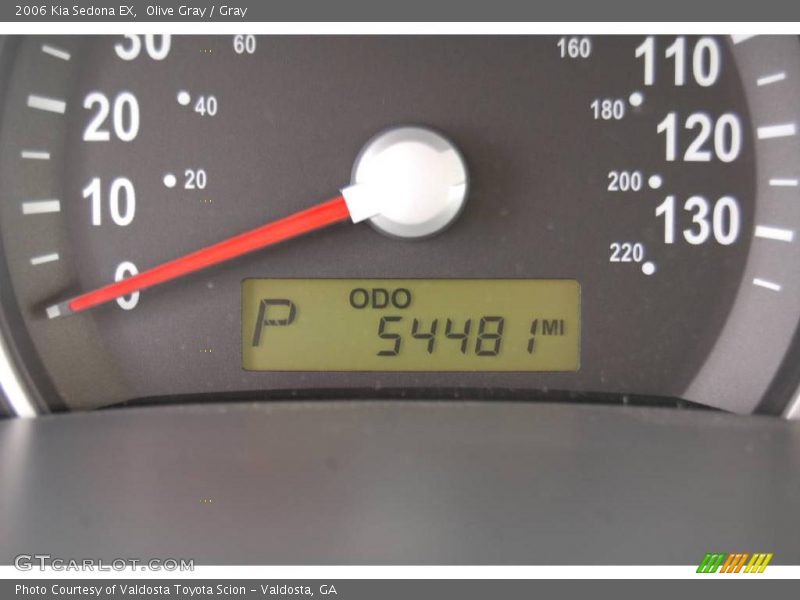 Olive Gray / Gray 2006 Kia Sedona EX
