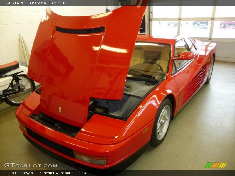 Red / Tan 1986 Ferrari Testarossa