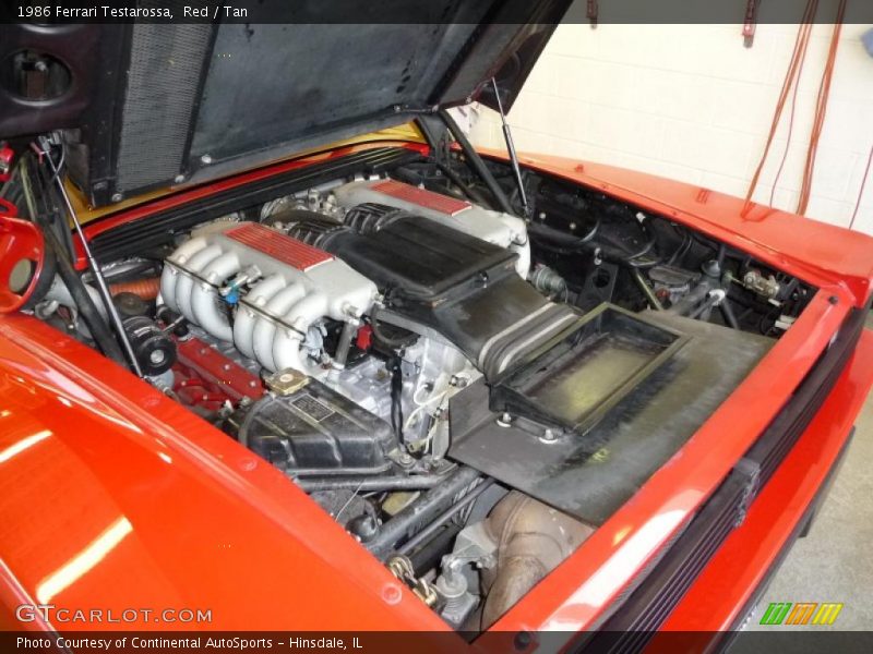 1986 Testarossa  Engine - 4.9 Liter DOHC 48-Valve Flat 12 Cylinder