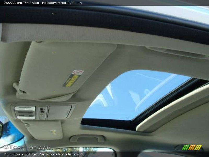 Palladium Metallic / Ebony 2009 Acura TSX Sedan