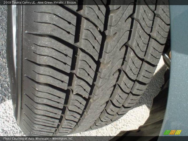 Aloe Green Metallic / Bisque 2009 Toyota Camry LE