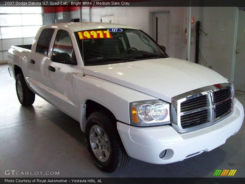 Bright White / Medium Slate Gray 2007 Dodge Dakota SLT Quad Cab
