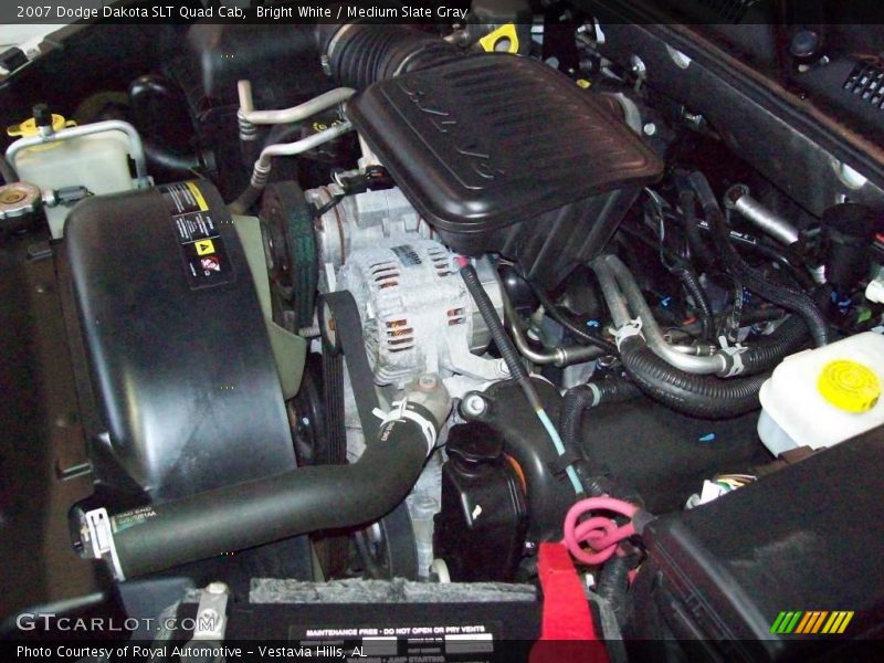 Bright White / Medium Slate Gray 2007 Dodge Dakota SLT Quad Cab