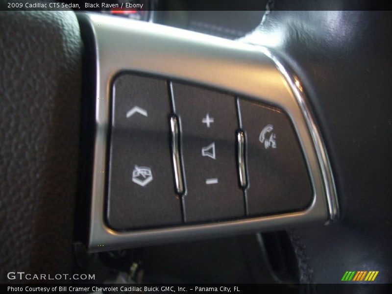 Black Raven / Ebony 2009 Cadillac CTS Sedan