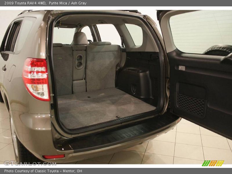 Pyrite Mica / Ash Gray 2009 Toyota RAV4 4WD