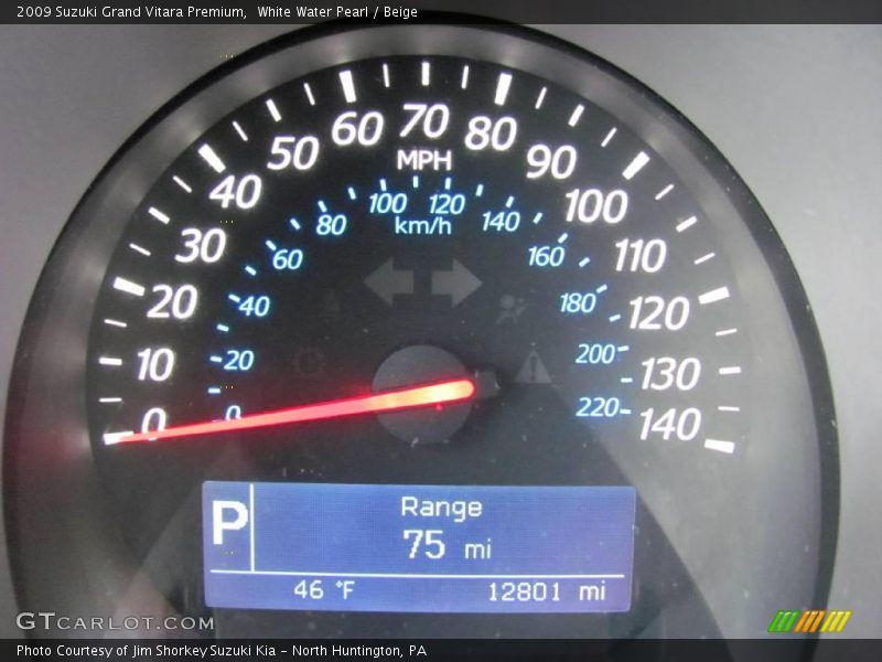 White Water Pearl / Beige 2009 Suzuki Grand Vitara Premium