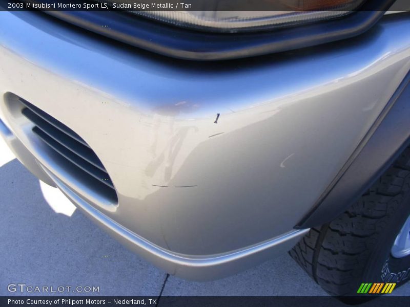 Sudan Beige Metallic / Tan 2003 Mitsubishi Montero Sport LS