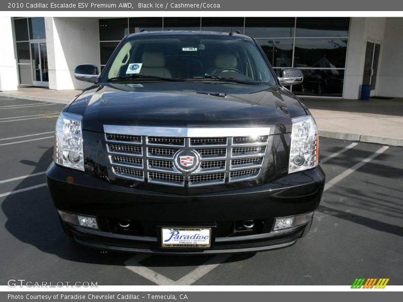 Black Ice / Cashmere/Cocoa 2010 Cadillac Escalade ESV Premium AWD