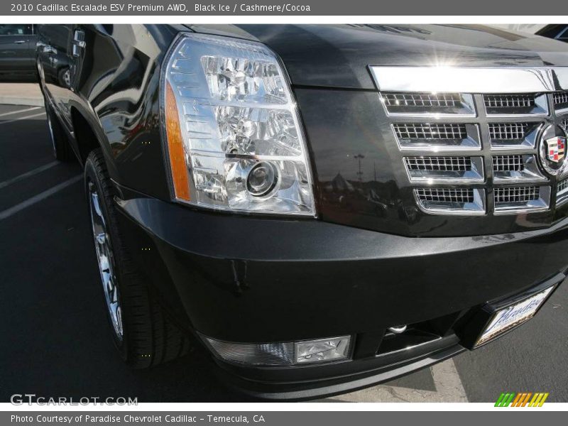 Black Ice / Cashmere/Cocoa 2010 Cadillac Escalade ESV Premium AWD