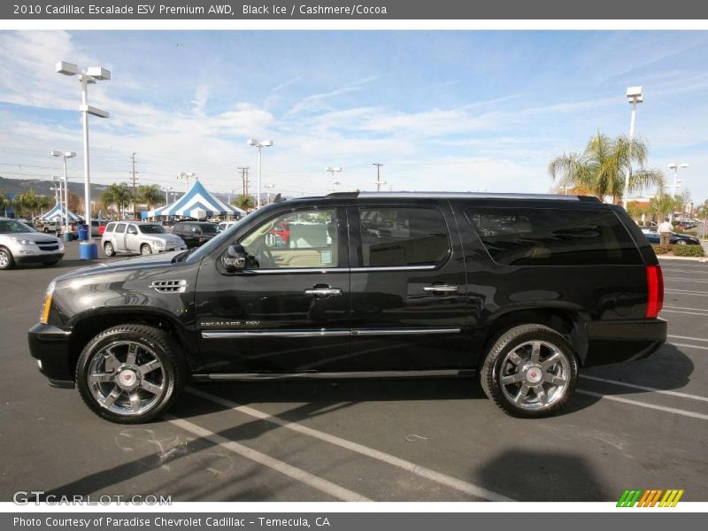 Black Ice / Cashmere/Cocoa 2010 Cadillac Escalade ESV Premium AWD