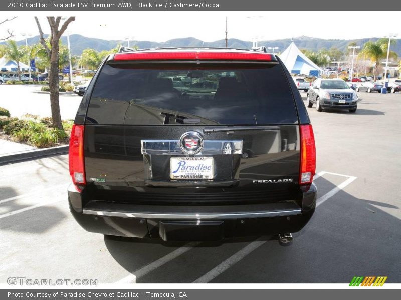 Black Ice / Cashmere/Cocoa 2010 Cadillac Escalade ESV Premium AWD