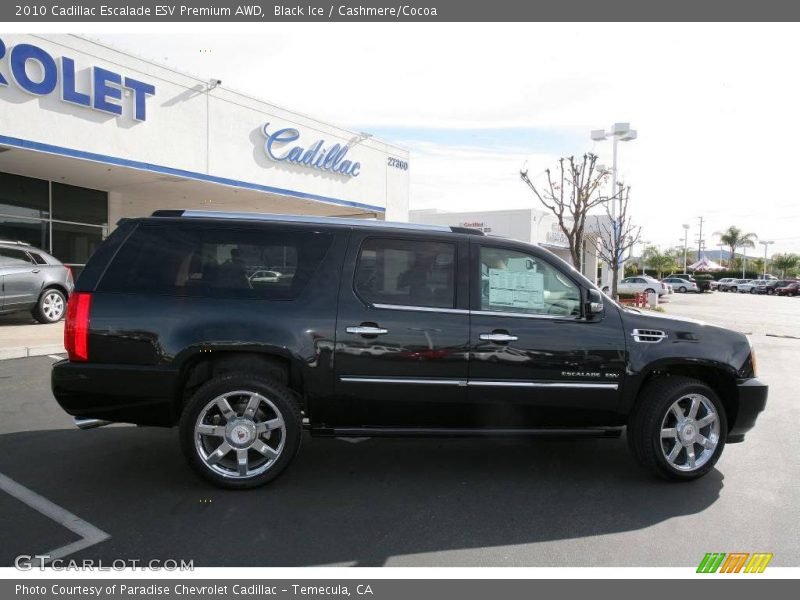 Black Ice / Cashmere/Cocoa 2010 Cadillac Escalade ESV Premium AWD