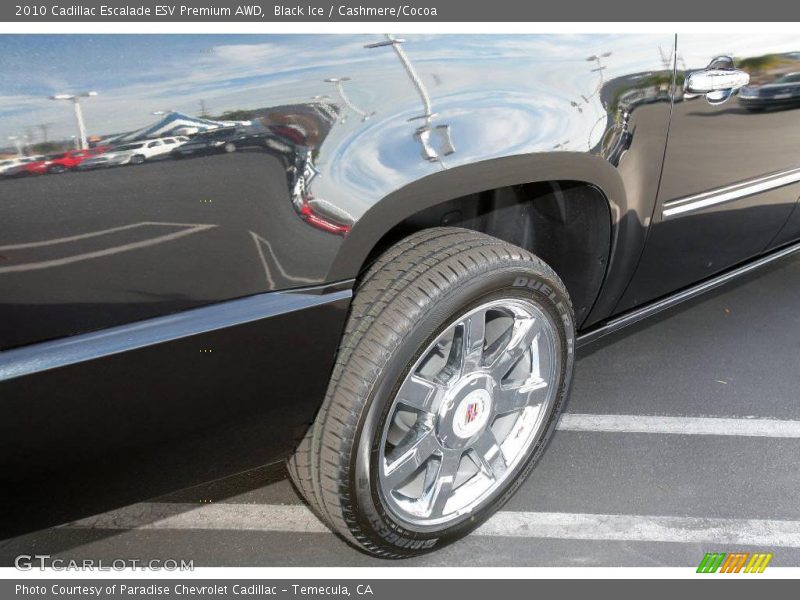 Black Ice / Cashmere/Cocoa 2010 Cadillac Escalade ESV Premium AWD