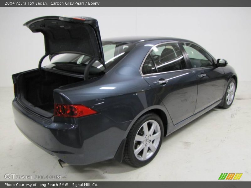 Carbon Gray Pearl / Ebony 2004 Acura TSX Sedan