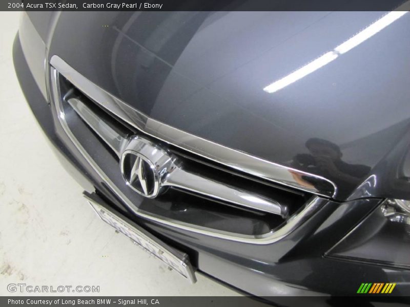 Carbon Gray Pearl / Ebony 2004 Acura TSX Sedan