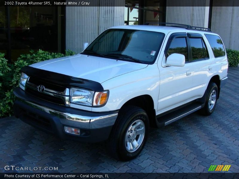 Natural White / Gray 2002 Toyota 4Runner SR5