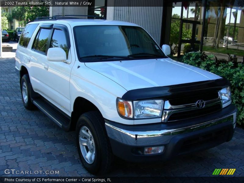 Natural White / Gray 2002 Toyota 4Runner SR5