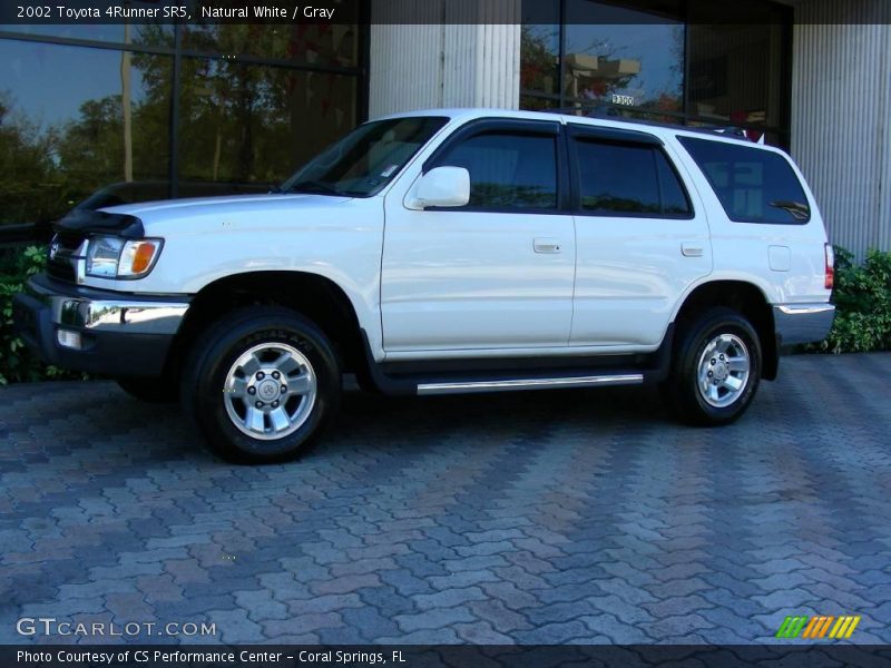 Natural White / Gray 2002 Toyota 4Runner SR5