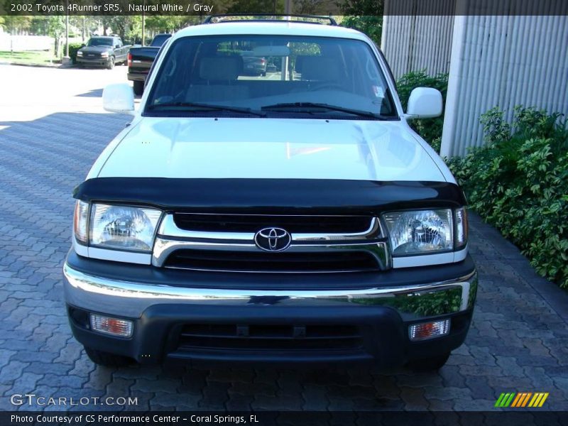 Natural White / Gray 2002 Toyota 4Runner SR5
