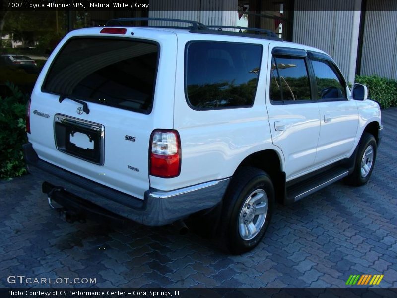 Natural White / Gray 2002 Toyota 4Runner SR5