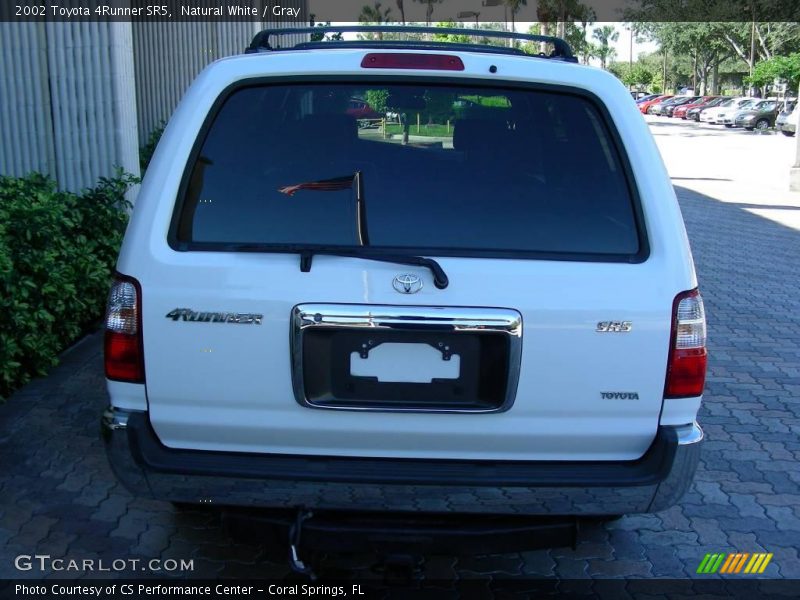 Natural White / Gray 2002 Toyota 4Runner SR5