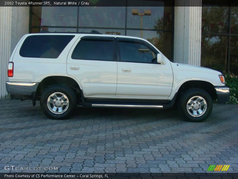 Natural White / Gray 2002 Toyota 4Runner SR5