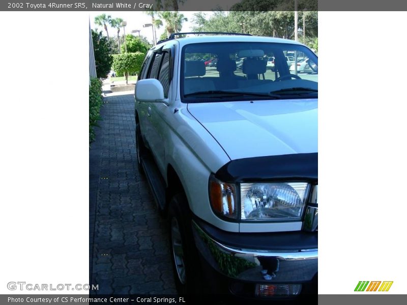 Natural White / Gray 2002 Toyota 4Runner SR5