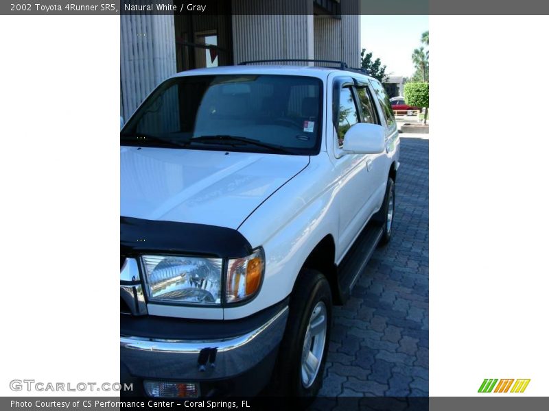 Natural White / Gray 2002 Toyota 4Runner SR5