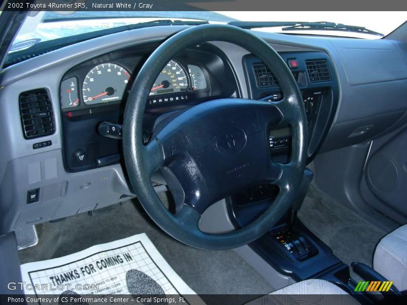 Natural White / Gray 2002 Toyota 4Runner SR5