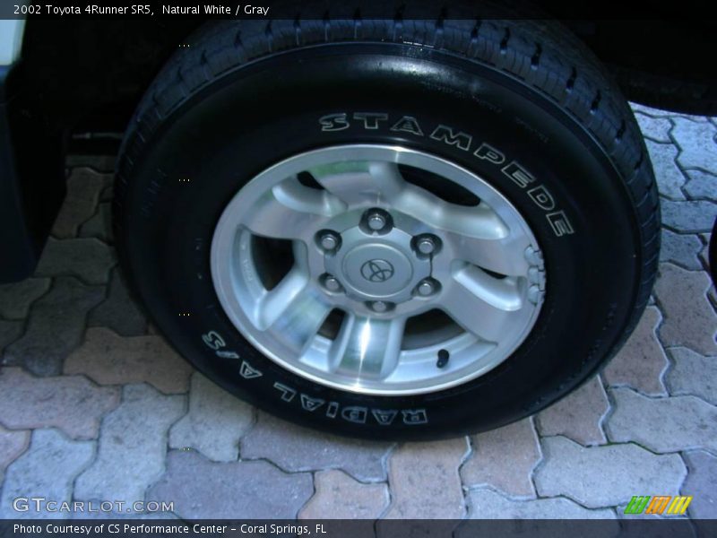 Natural White / Gray 2002 Toyota 4Runner SR5