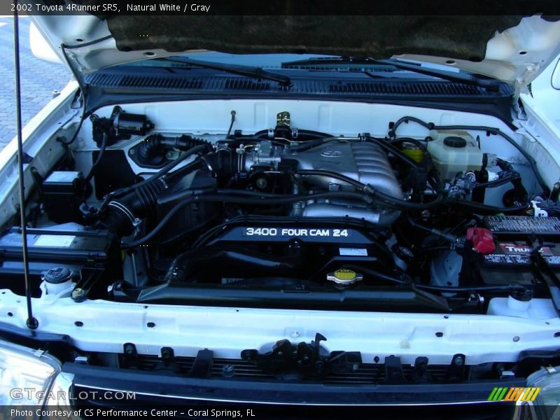 Natural White / Gray 2002 Toyota 4Runner SR5