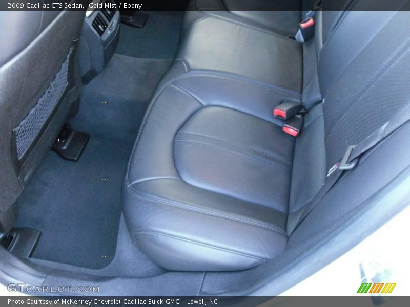 Gold Mist / Ebony 2009 Cadillac CTS Sedan